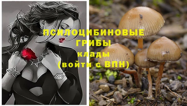 мефедрон Дмитриев