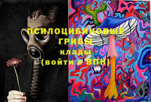 spice Дмитров