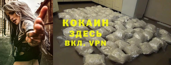 Альфа ПВП Дмитровск